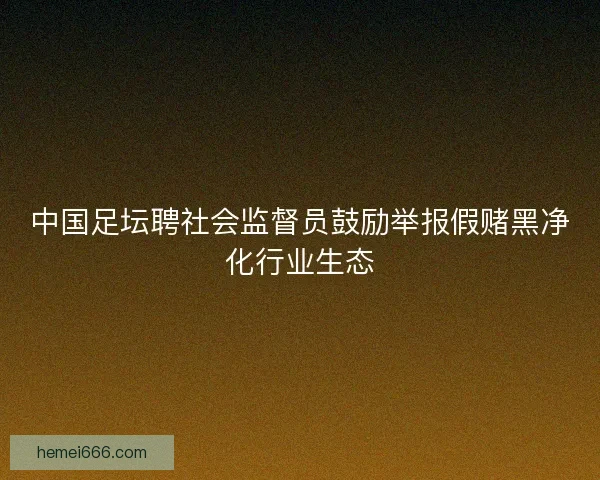 中国足坛聘社会监督员鼓励举报假赌黑净化行业生态